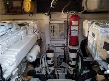 Mochi Craft Dolphin 54