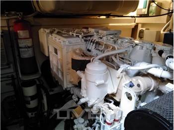 Mochi Craft Dolphin 54