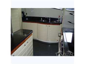 Ferretti craft 880