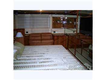 Ferretti craft 880