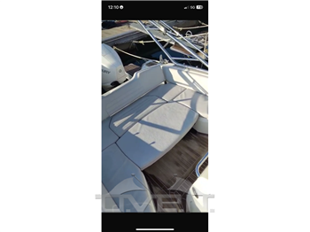 Sacs 9 Strider straider sacs