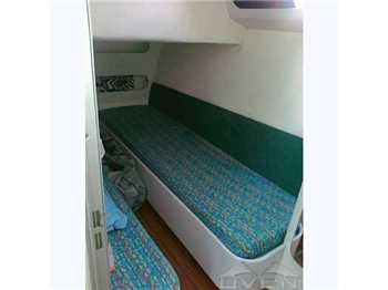 Fiart 35 Genius 35