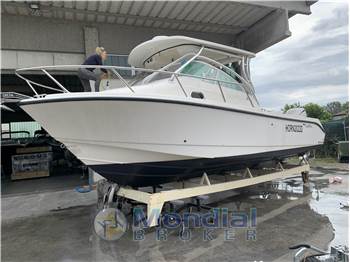 Edge Water Power Boat 265EX