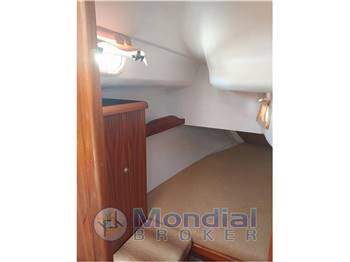DELPHIA (POL) DELPHIA 33