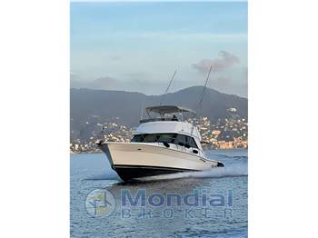 Riviera 43 FLYBRIDGE CONVERTIBLE
