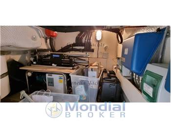 Mochi Craft 51 Dolphin