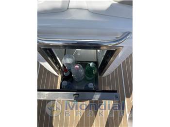 Salpa Soleil 26