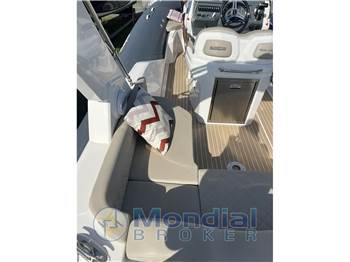 Salpa Soleil 26