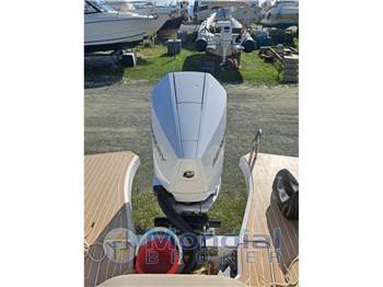 Salpa Soleil 26