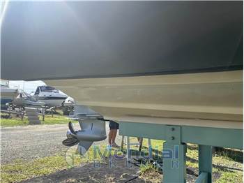 Salpa Soleil 26