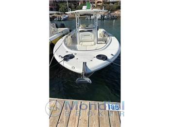 Robalo R 300
