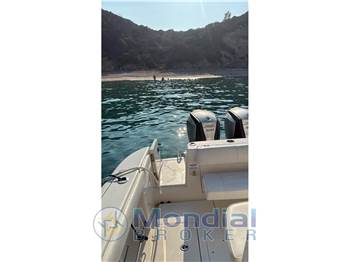 Robalo R 300