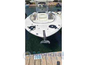 Robalo R 300