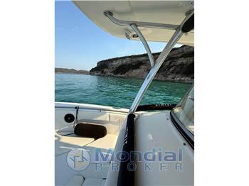 Robalo R 300