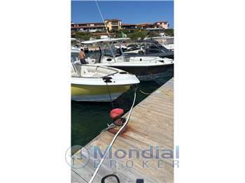 Robalo R 300