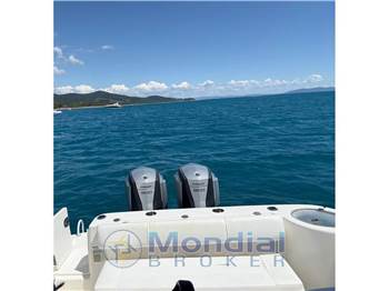 Robalo R 300