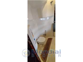 Gobbi Atlantis 42