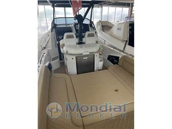Salpa Soleil 33