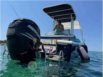 White Shark 215