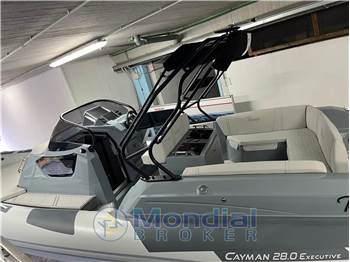Ranieri International Cayman 28 Executive