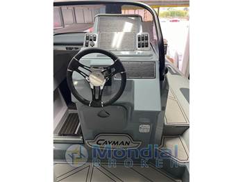 Ranieri International Cayman 28 Executive