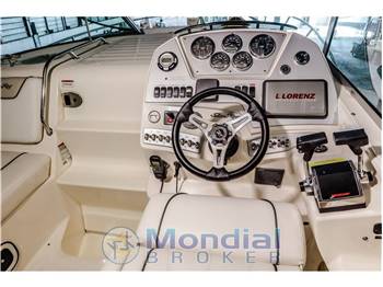SEA RAY SUNDANCER 305