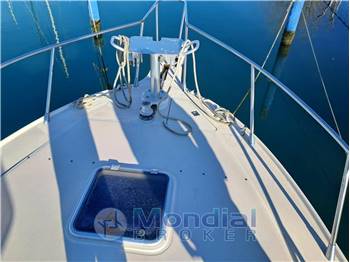 FINNAUTICA ARCIERE 33