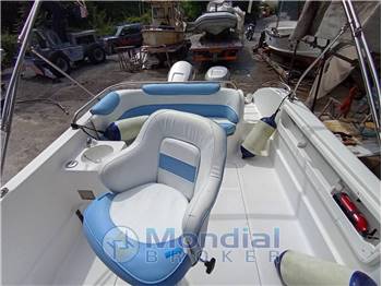 Ranieri Endeavour 27