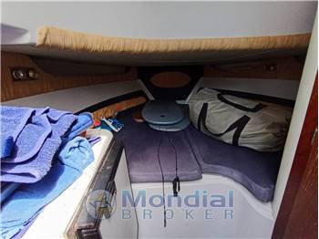 Ranieri Endeavour 27