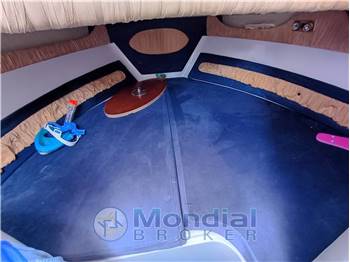 Ranieri Endeavour 27