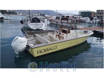 Robalo 2520