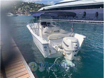 White Shark Kelt 226