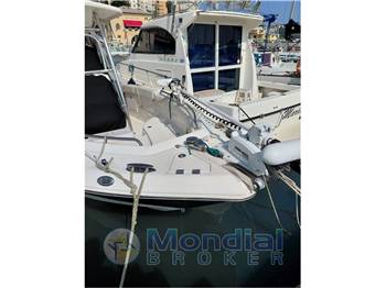 Robalo r260