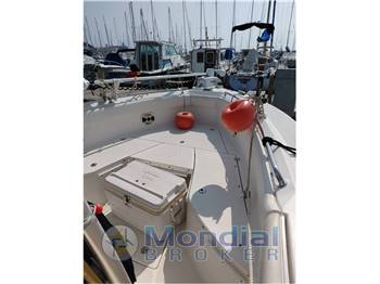 Robalo r260