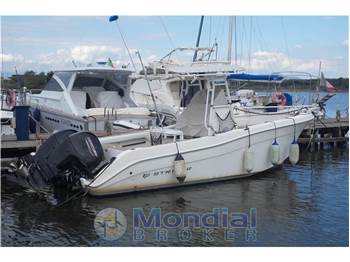 Striper 2605 cc
