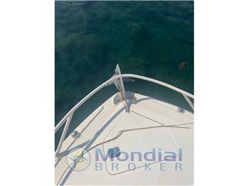 Bertram 28 Moppie