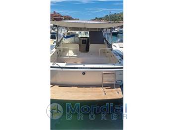 Bertram 28 Moppie