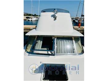 Bertram 31