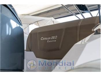 Ranieri International Cayman 28 Executive