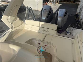 nuova jolly prince 28