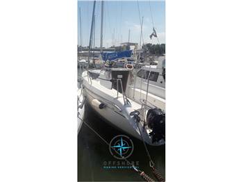 Delphia Delphia 24