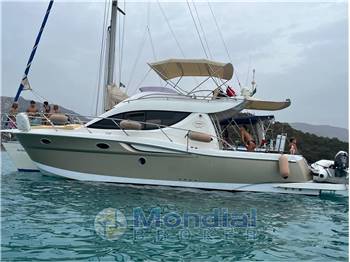 Sessa Dorado