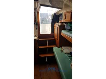 Luhrs Luhrs T-290 WA