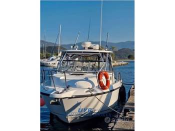 Boston Whaler BOSTON 305 CONQUEST