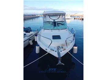 Robalo R 265