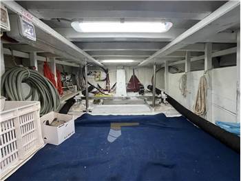 Azzurro AZZURRO 44