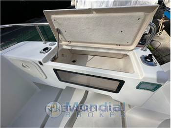 ARVOR 215