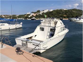 Bertram Yacht 26' SF