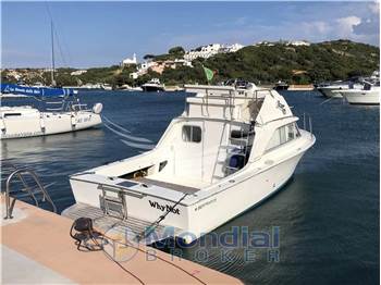 Bertram Yacht 26' SF