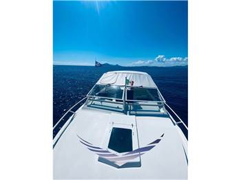 Bertram Yacht 28' Moppie
